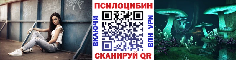 наркота  Котельнич  Псилоцибиновые грибы MAGIC MUSHROOMS 